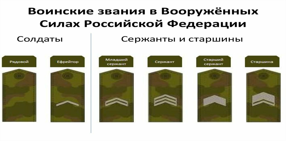 Рядовой и ефрейтор погоны. Погоны военно патриотического клуба. Погоны рядового солдата. Товарищ младший сержант.