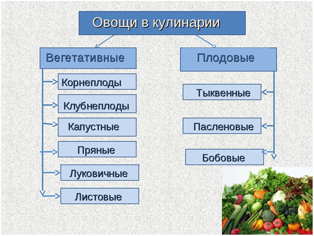 Классификация и происхождение овощных растений