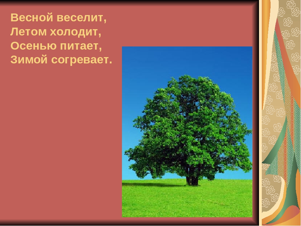 Весной веселит летом. Весной веселит, летом Холо. Весной веселит летом холодец осени. Весной веселит летом холодит. Загадка весной веселит летом.