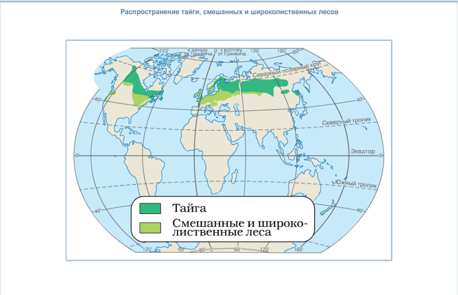 В каком поясе находятся широколиственные леса. Тайга смешанные и широколиственные леса на карте.