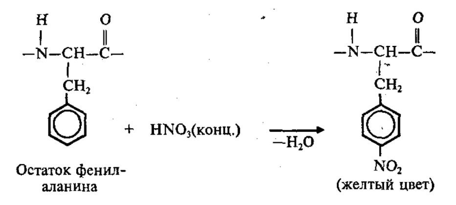 Ксантопротеиновая реакция схема реакции