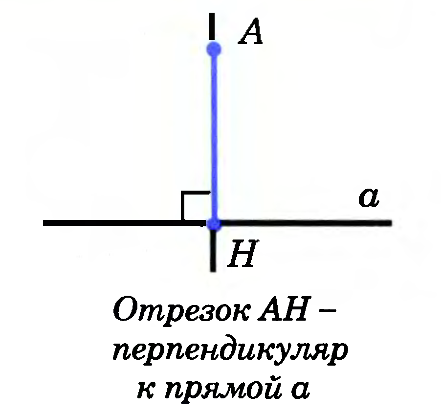 Перпендикулярно прямые что это. Перпендикуляр к прямой это отрезок. Перпендикуляр к прямой 7 класс геометрия. Перпендикуляр к прямой 9 класс. Перпендикуляр к прямой рисунок.