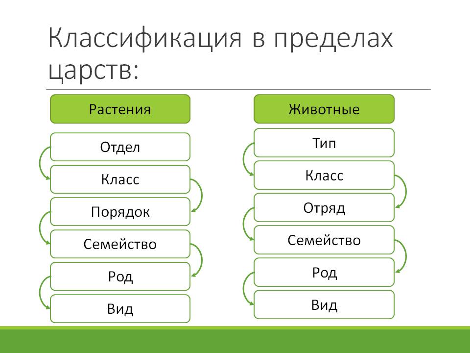 7 вид 6 класс. Классификация растений и животных таблица. Схема классификации растений таксоны. Классификация животных и растений схема. Классификация в биологии таблица.