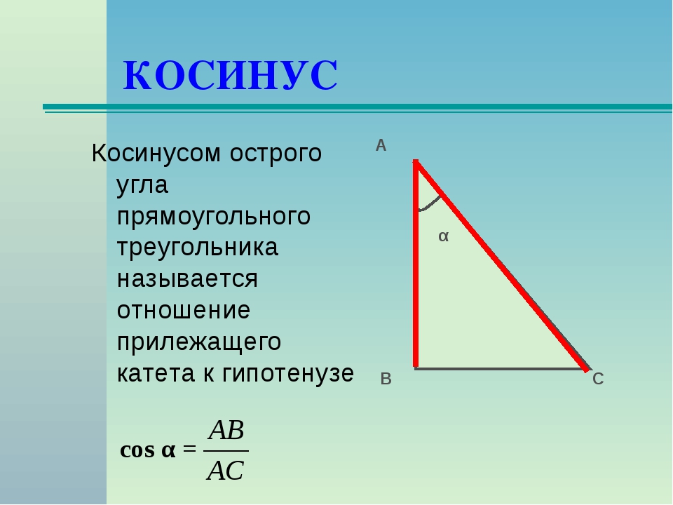 Найдите косинус большего. Косинус угла в прямоугольном треугольнике. Косинус острого угла. Косинус острого угла прямоугольного треугольника. Острый угол прямоугольного треугольника.