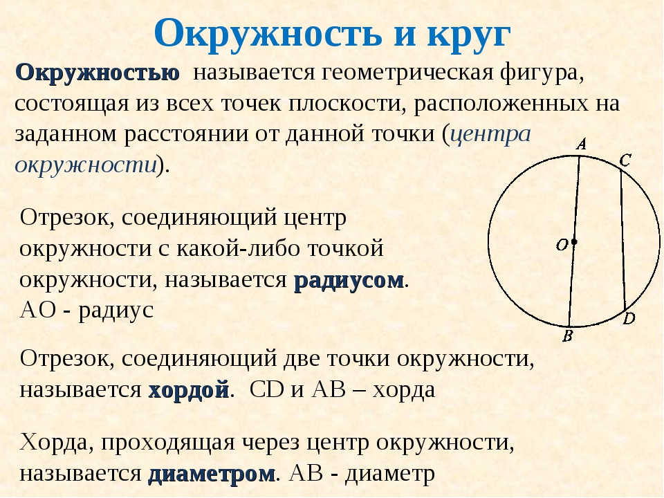 Порядок круг. Окружность. Определение круга и окружности. Геометрия круг и окружность. Понятие круг и окружность.