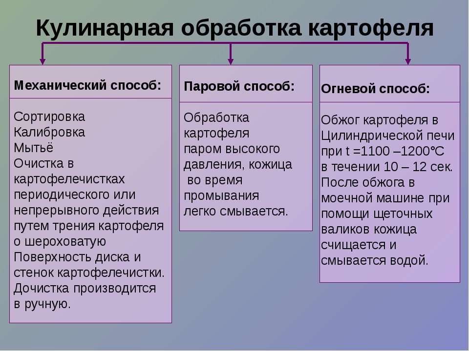 Технологическая схема обработки картофеля