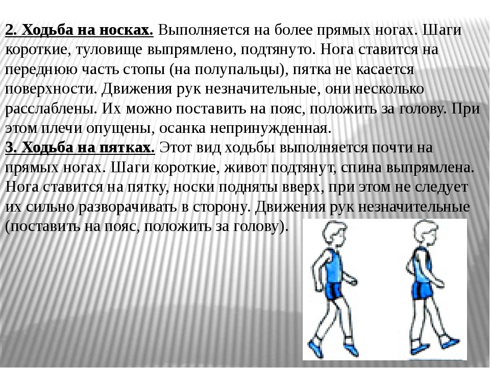 Схематически укажите место учителя в спортивном зале при проведении видов ходьбы бега