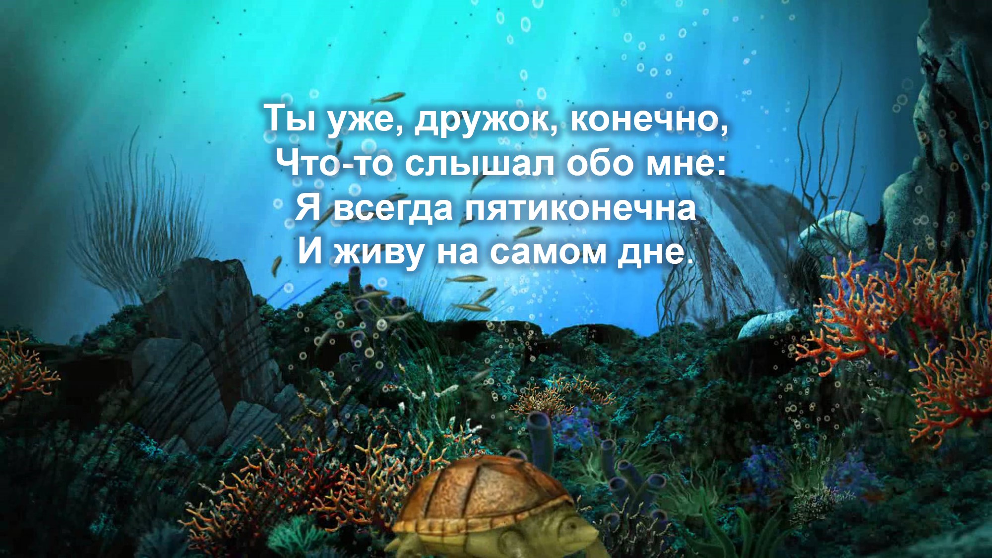 Экран заставка живые. Морское дно фон. Подводный мир фон. Морское дно для аквариума. Подводный мир 3д.