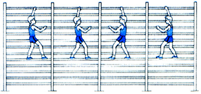 Последовательность обучение техники лазания по гимнастической стенке спиной