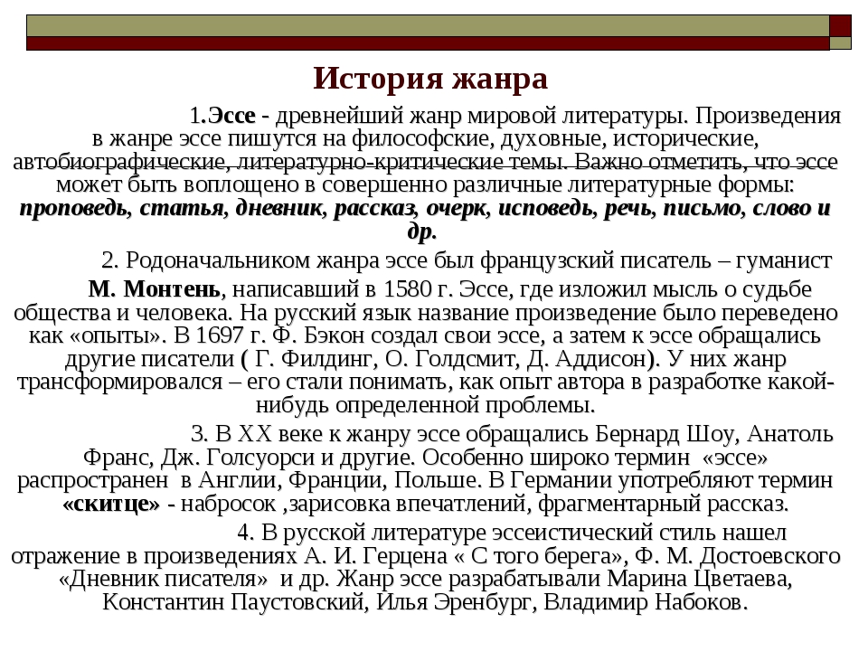 Примеры эссе по литературным произведениям