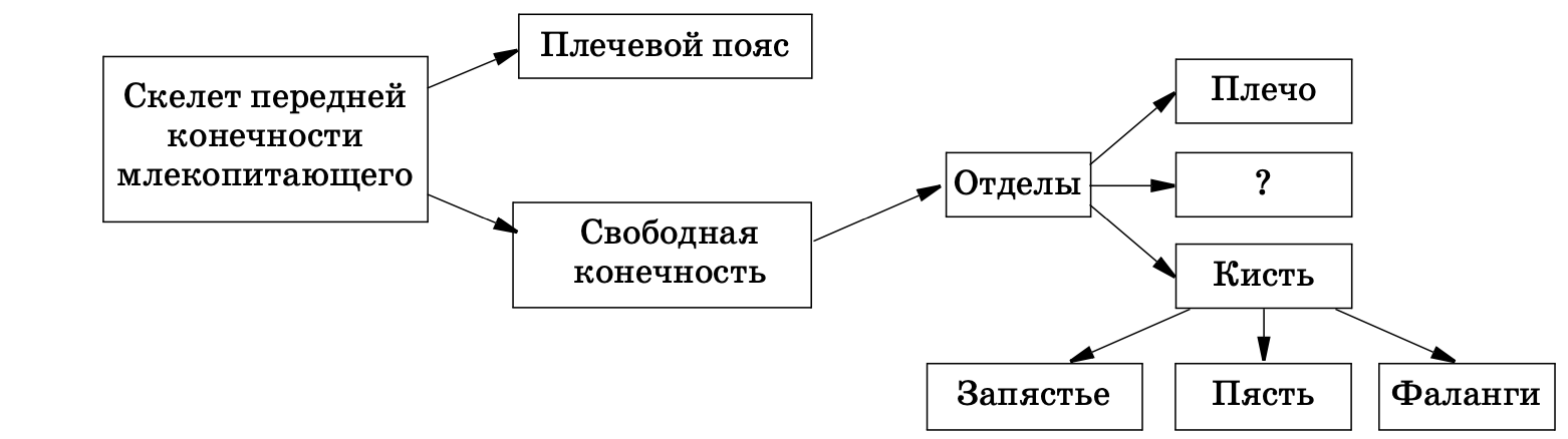 Что обозначено на предложенной схеме буквами а г д