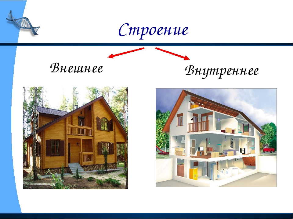 Внешне и внутри. Внутреннее и внешнее строение дома. Строение дома внешне. Строение дома для дошкольников. Дом внешнее строение.