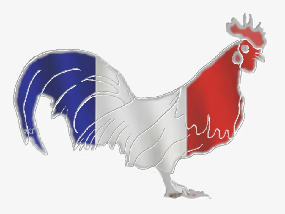 Галльский петух Франции. Le coq символ Франции. Галльский петух символ. Петух символ Франции.