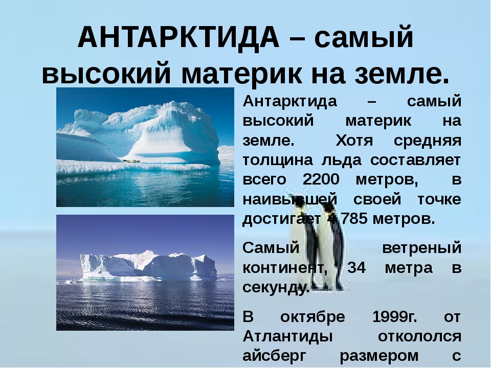 Какие доказательства того что арктика и антарктида кухня погоды земли вы можете привести