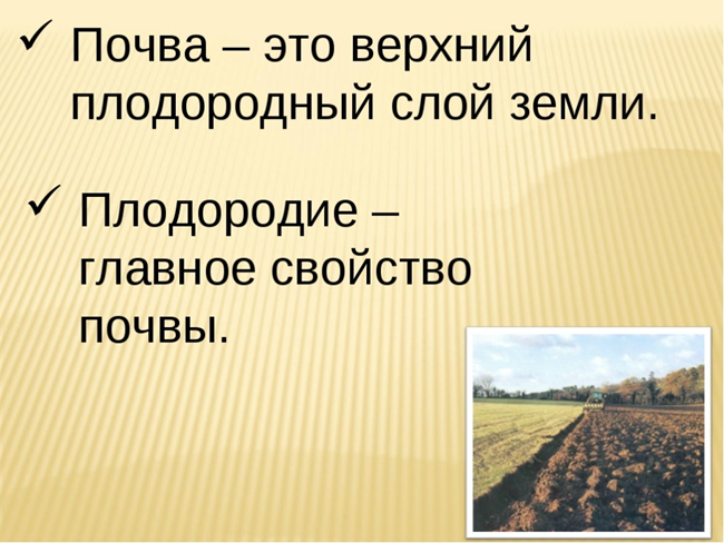 Требования к плодородному слою почвы. Плодородный слой земли. Верхний плодородный слой почвы. Почва это верхний. Почва это верхний плодородный слой земли.