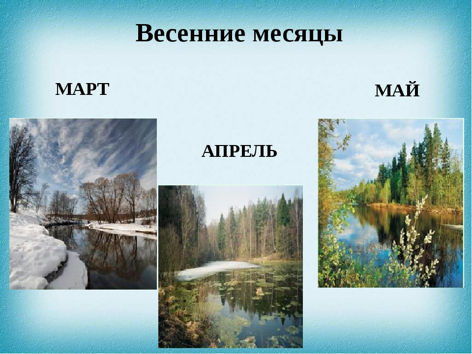 Весенние месяцы картинки для детей