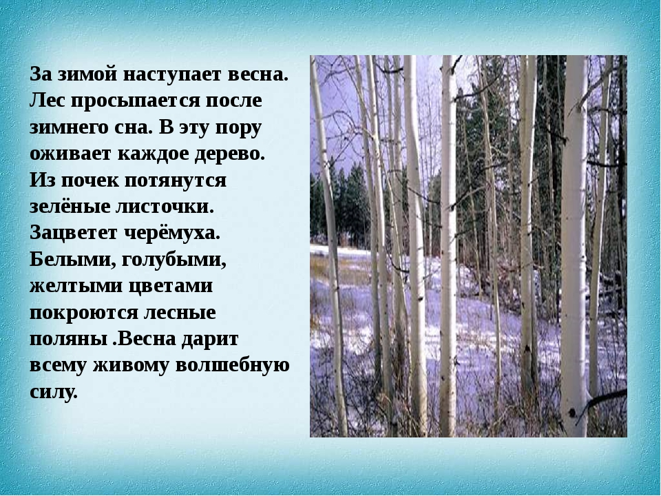 Анализ стиха весна в лесу пастернак кратко по плану