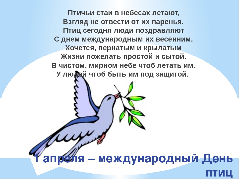 Стихи про птиц для детей. Стих про защиту птиц. Красивые стихи о птицах. День птиц стихи для детей