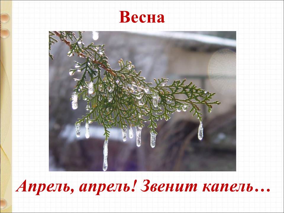 Проект весенняя капель