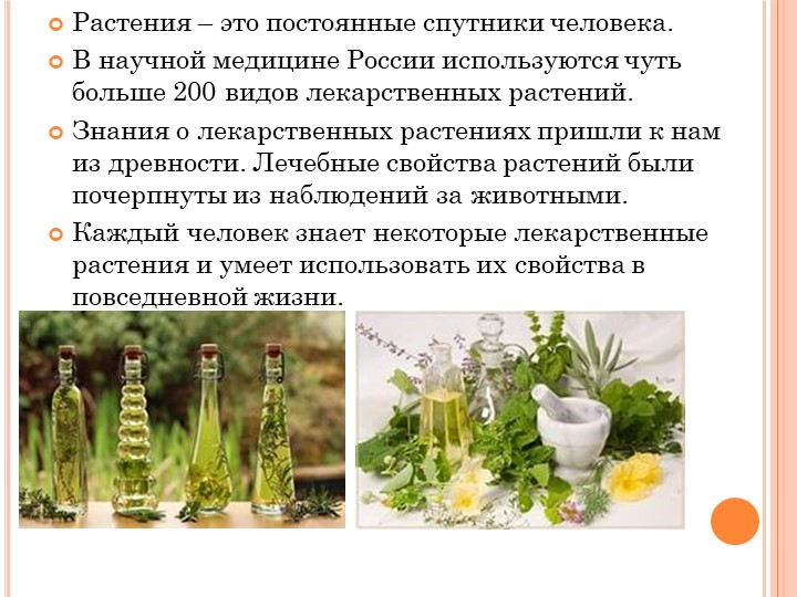 Растения которые используются. Лечебные растения для медицины. растения используемые в медицине. лекарственные растения в медицине. какие растения используют в медицине.