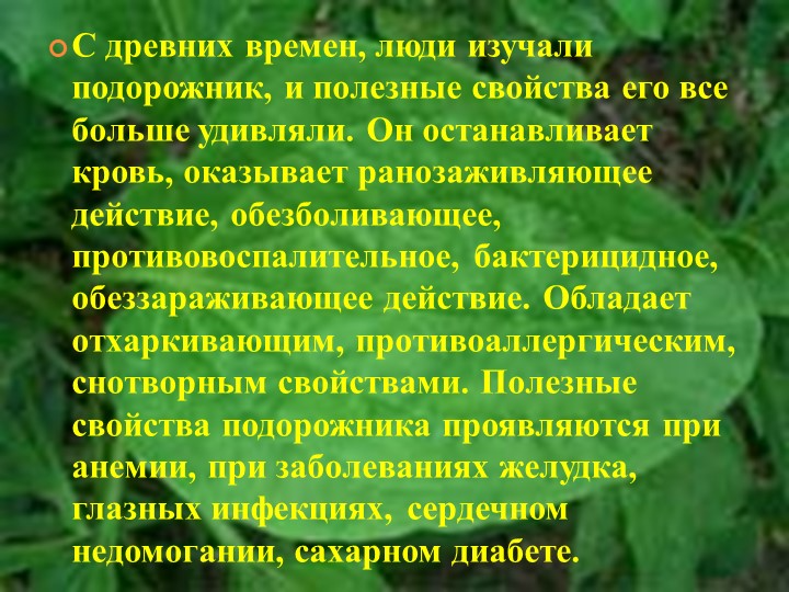 Подорожник. Подорожник лекарственное растение. Подорожник для травника. Лекарственные растения башкирии подорожник. Подорожник лекарственное растение.