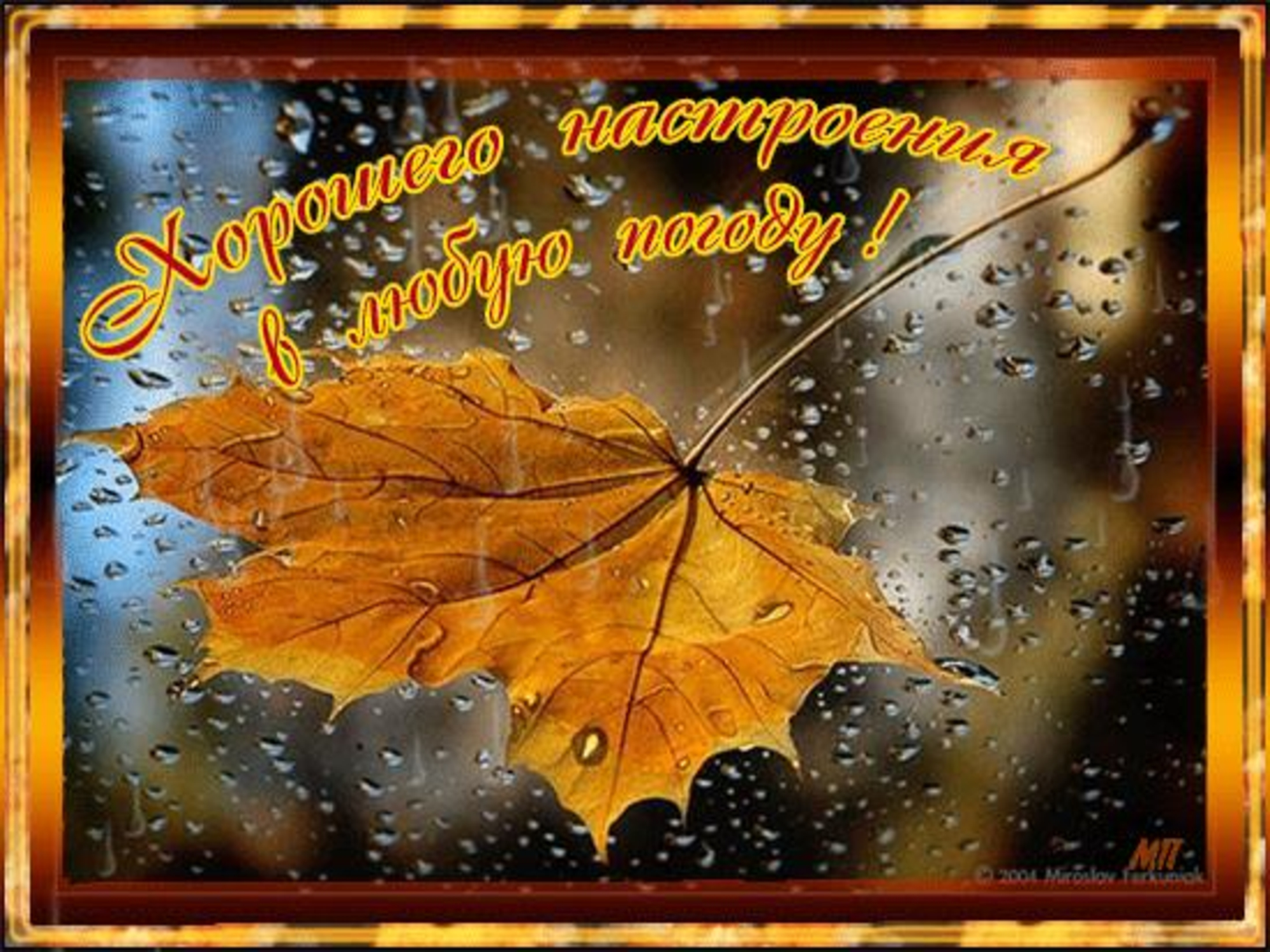 В любую погоду картинки. Осеннего настроения в любую погоду. Хорошего настроения в любую погоду осень. Хорошего настроения дождливой осенью. Хорошего настроения в дождливую осень.