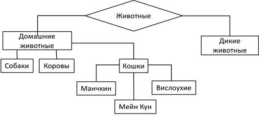 Схема отношений информатика. Схема разновидностей Информатика 6 класс. Разновидности объектов и их классификация. Схема «разновидности Сводки». Разновидности объектов и их классификация Информатика 6 класс.