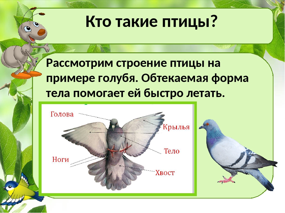 План конспект урока по окружающему миру 3 класс по фгос школа россии